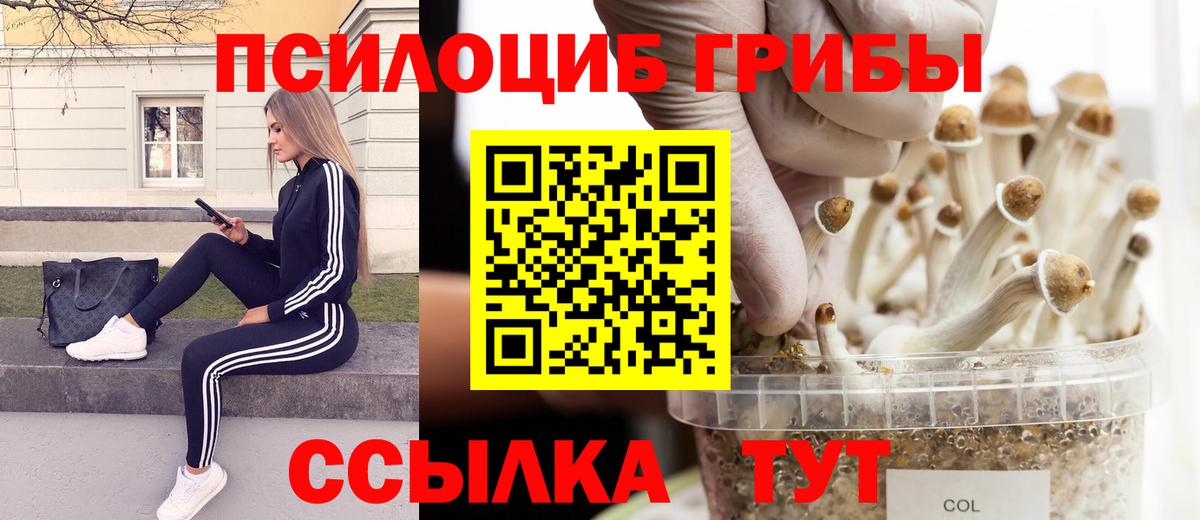 купить наркоту  Псилоцибиновые грибы Magic Shrooms  Минусинск  Вход с VPN  Псилоцибиновые грибы мухоморы 